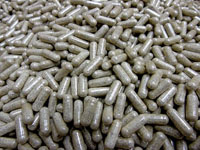Най-добрите Bcaa 30