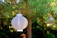 Намерете Led ленти 4 от Elmark Намерете Led ленти 4