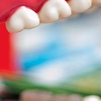 Оферти за ортодонт 32 от MedicalDent Оферти за ортодонт 32