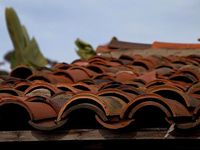Нашият каталог с ремонт на покриви софия 16