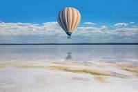 Изберете елените 24 от Travelcard Изберете елените 24
