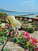 Типове ранни записвания 12 от Planeta Holiday Типове ранни записвания 12