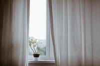 Informationen über Insektenschutz 38 - rund-ums-fenster.at Informationen über Insektenschutz 38