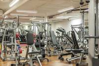 Разнообразие от лежанки 15 от JK Fitness Разнообразие от лежанки 15