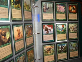 Offers for Mtg Database 18 - MTG Studio Offers for Mtg Database 18