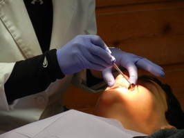 Check out Dentist Sofia 38