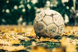 Най-добрите оферти за Efbet 24 - fbet.info Най-добрите оферти за Efbet 24