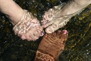 хотели свети константин и елена - 64663 - услуги хотели свети константин и елена - 77864 - услуги