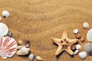 оферти за море - 78073 предложения оферти за море - 99401 предложения