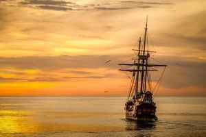 оферти за море - 92539 бестселъри оферти за море - 7421 бестселъри