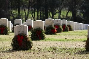 организация на погребение - 16263 промоции | Кипарис организация на погребение - 20018 промоции