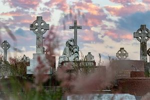 организация на погребение - 28176 оферти организация на погребение - 2119 оферти