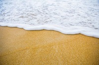 почивка на море ол инклузив - 62111 - повече информация почивка на море ол инклузив - 3828 - повече информация
