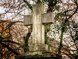погребална агенция кипарис оборище - 59385 бестселъри