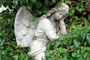 погребална агенция кипарис оборище - 3826 варианти