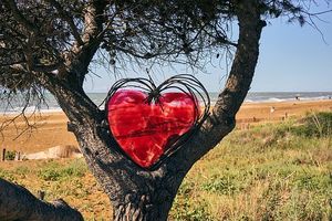 СВАТБА НА ПЛАЖА - 38591 варианти