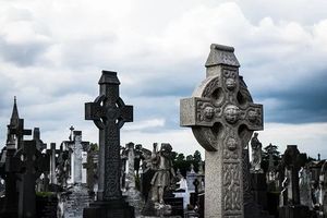 транспортиране на покойник - 6469 новини транспортиране на покойник - 80249 новини