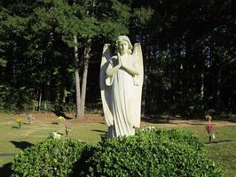 транспортиране на покойник - 31886 бестселъри транспортиране на покойник - 11203 бестселъри