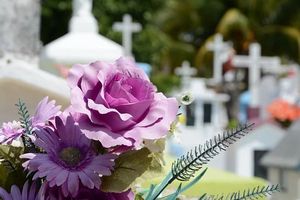 транспортиране на покойник - 87714 варианти транспортиране на покойник - 63690 варианти