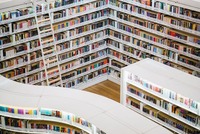 университети в Холандия - 50029 - повече интересна информация