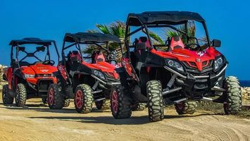 Off Road Buggy - 23740 discounts