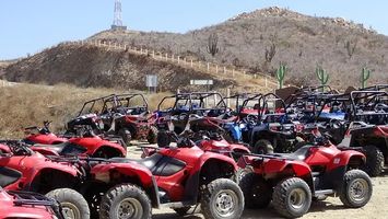Dune Buggy - 89394 offers Dune Buggy - 19516 offers
