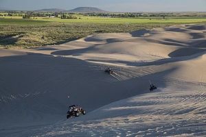 Dune Buggy - 92070 news Dune Buggy - 37566 news