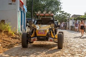 Dune Buggy - 59562 varieties Dune Buggy - 79869 varieties