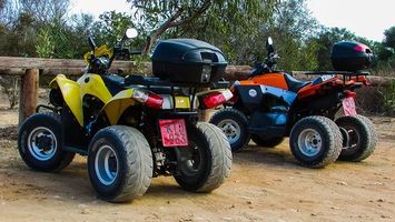Dune Buggy - 50903 types Dune Buggy - 36431 types