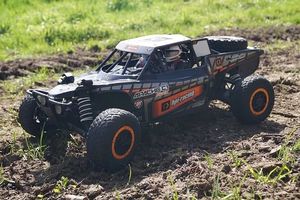 Dune Buggy - 52297 types Dune Buggy - 48580 types