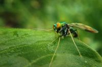Insektenschutz - 70273 Preise Insektenschutz - 65819 Preise