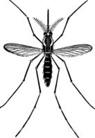 Insektenschutzrollo - 64184 Kombinationen Insektenschutzrollo - 74793 Kombinationen