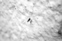 Insektenschutztür - 98872 Kombinationen