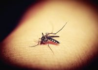 Insektenschutztür - 75308 Auszeichnungen