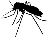 Insektenschutztür - 47611 Kombinationen