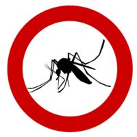 Insektenschutztür - 69230 Optionen