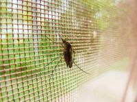 Insektenschutztür - 45046 Preise