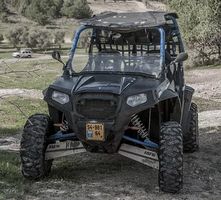 Rent A Buggy - 31084 species Rent A Buggy - 33606 species