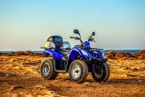 Rent A Buggy - 90017 types Rent A Buggy - 41364 types
