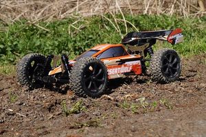 Rent A Buggy - 83970 types Rent A Buggy - 70042 types