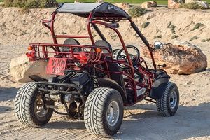 Trike Excursion - 56540 prices Trike Excursion - 18567 prices