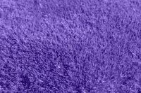 Carpet Cleaning Golders Green - 54100 customers | Fine Carpet Cleaning Carpet Cleaning Golders Green - 1953 customers