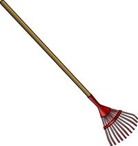 End Of Tenancy Cleaning In London - 37496 species End Of Tenancy Cleaning In London - 75551 species
