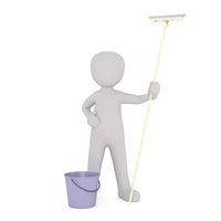 End Of Tenancy Cleaning Services - 26129 species End Of Tenancy Cleaning Services - 13112 species