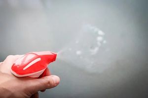 End Of Tenancy Cleaning Services - 54483 photos End Of Tenancy Cleaning Services - 96528 photos