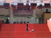 Green Carpet Cleaning - 47093 bestsellers | Fine Carpet Cleaning Green Carpet Cleaning - 7432 bestsellers