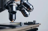 микроскопи - 60078 новини микроскопи - 29500 новини