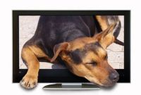 монитори - 76026 предложения монитори - 92834 предложения