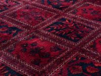 Steam Carpet Cleaning - 53115 promotions Steam Carpet Cleaning - 29285 promotions
