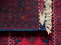 Steam Carpet Cleaning - 13961 opportunities Steam Carpet Cleaning - 58466 opportunities